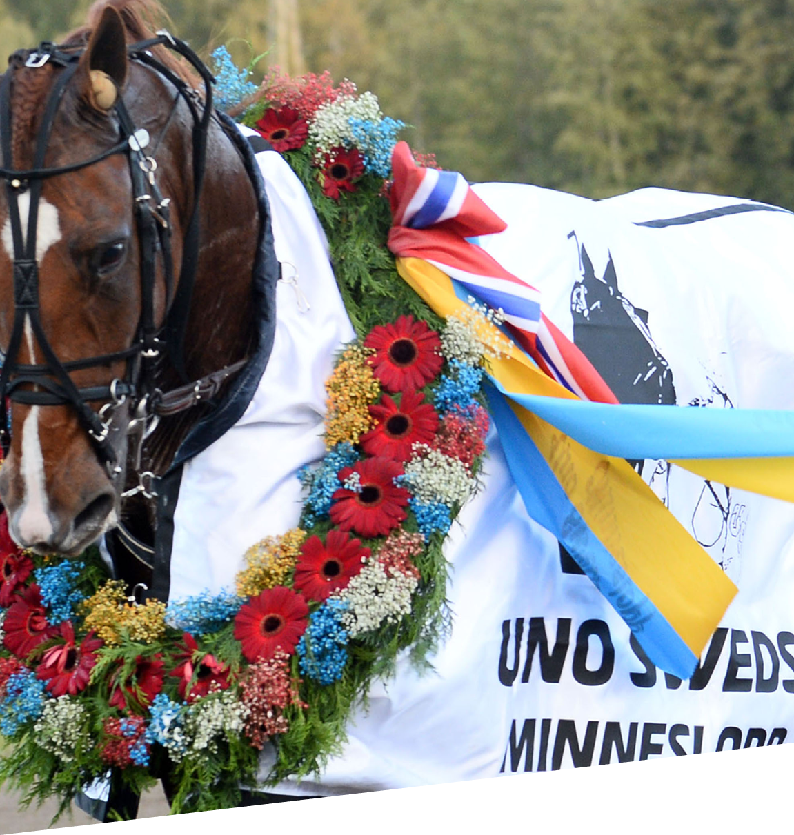 Foto : MA : V sterbo Highflyer med Johan Untersteine