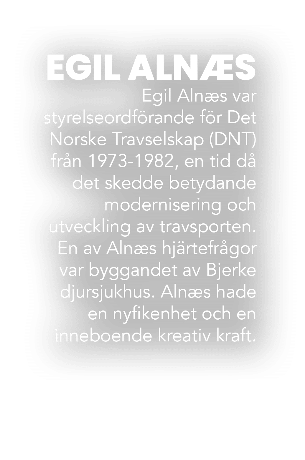 EGIL ALN S Egil Aln s var styrelseordf rande f r Det Norske Travselskap (DNT) fr n 1973 1982, en tid d det skedde be...