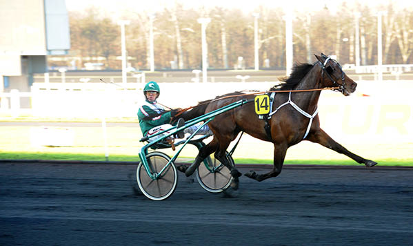 Maharajah vinner Prix de Belgique 2011. Foto: Lars Jakobsson / TR Bild