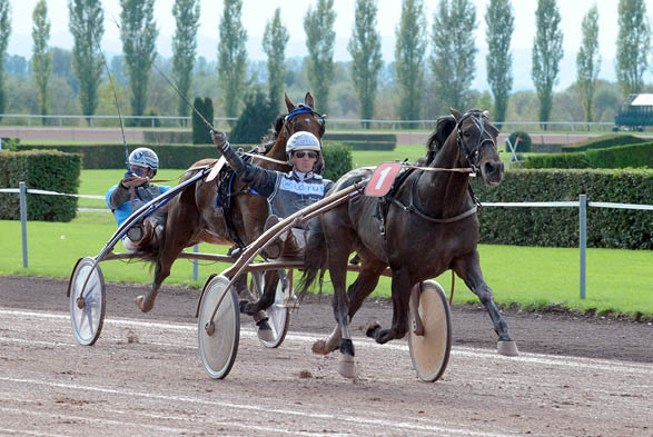 Kadett c.d. Robert Bergh vinner europaderbyt f re Timoko