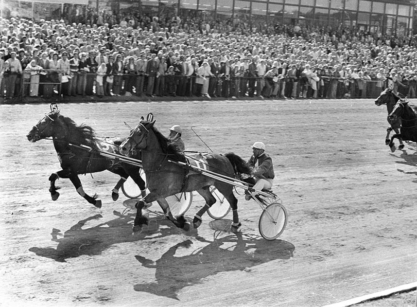 Foto : P&R : Sabin - Stig Lindmark Vinner p  solvalla elitloppsdagen-73 f re Svinn - S ren Nordin