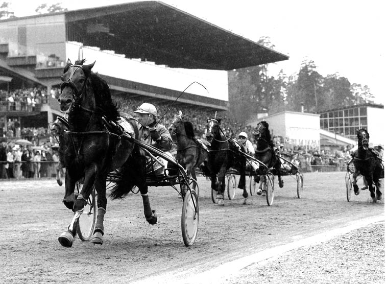 Foto : P&R : Sabin Stig Lindmark vinner p Solvalla Elitloppdagen 1974