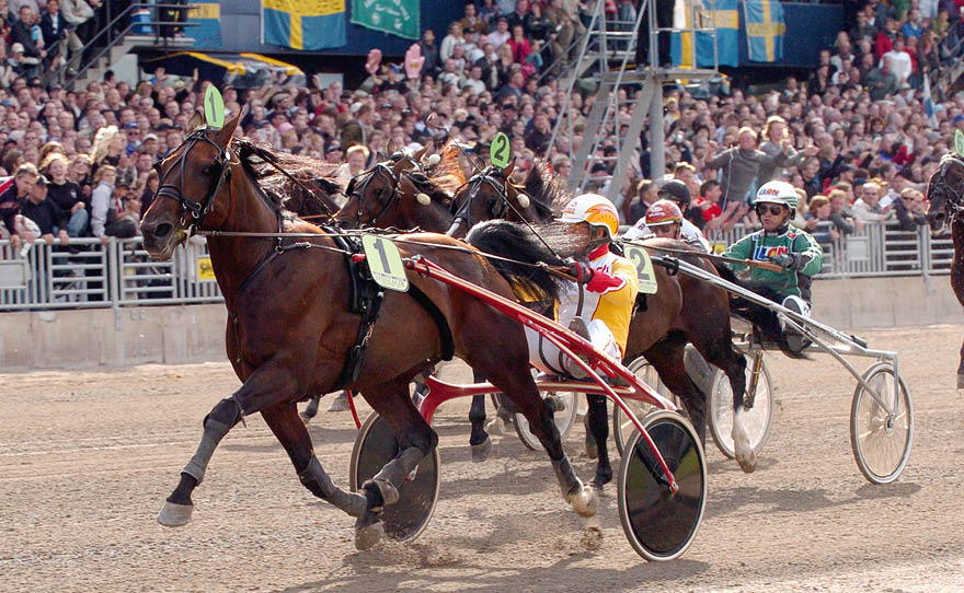 foto : pj : steinlager per oleg midtfjeld elitloppet 2005