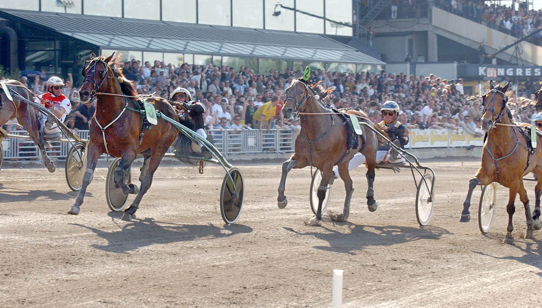 foto : tb : from above rjan kihlstr m  efter elitloppssegern