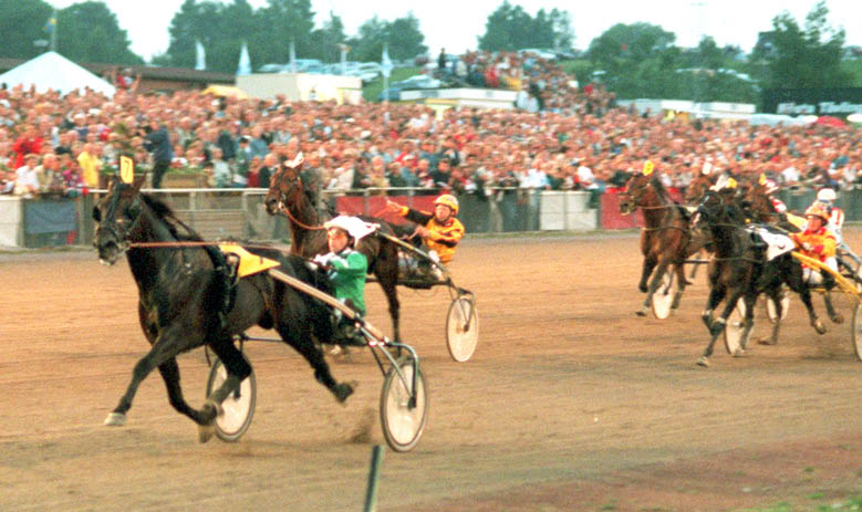 M√ L/VINNER SPRINTERM√ STAREN 1995. Fotograf: Referens:951222-15 Plac