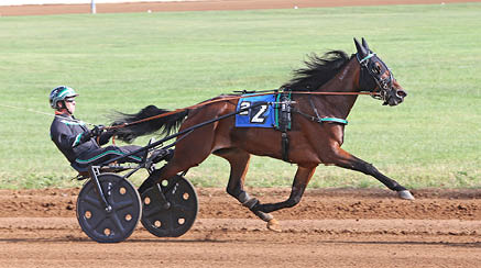 Foto: Mia T rnberg/Ronden Red Mile 20161004 All The Time och Jimmy Takter