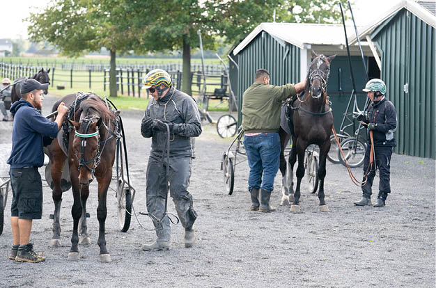 Manchego Per Engblom Tactical Landing Jimmy Takter Millennium Farm