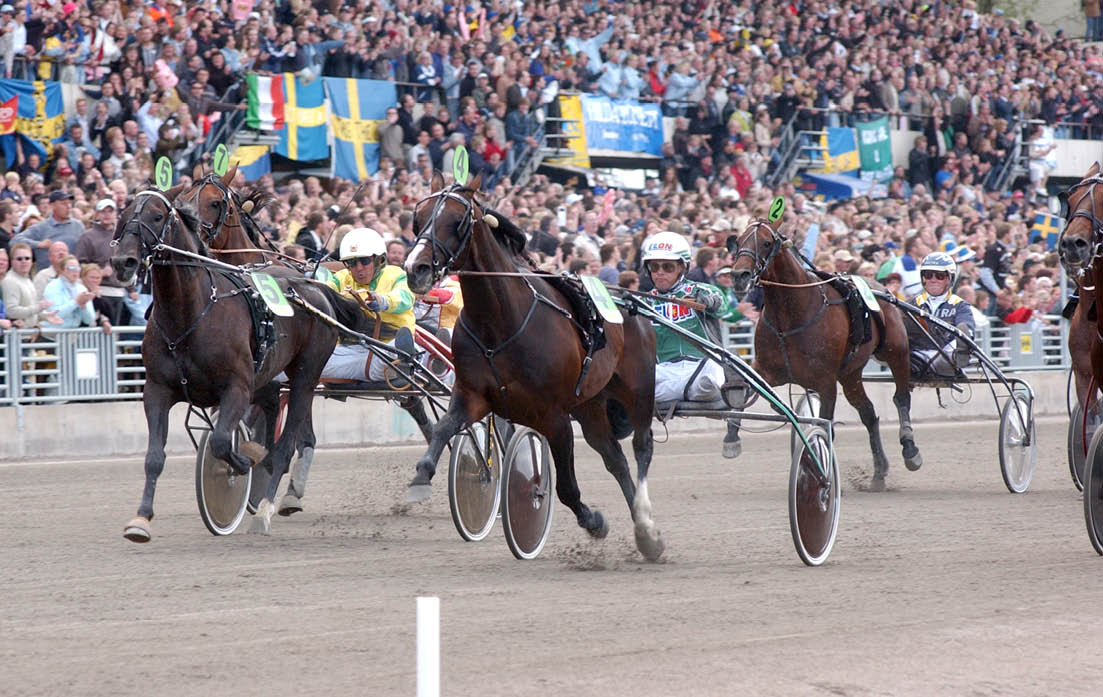foto : lj : elitloppet 2004  ke svanstedt
