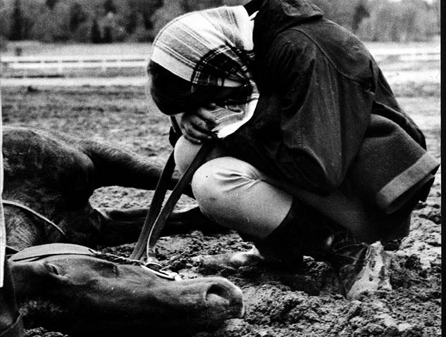  rets bild 1960.f rolyckad/d d galopph st p t by,h stsk tare s rjer.foto/copy:einar andersson,pr. fotograf: referens:gamla arkivet place:t by