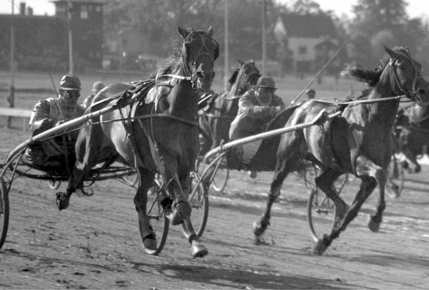 vinner elitloppet 1953.bild gamla arkivet. fotograf: referens: place: