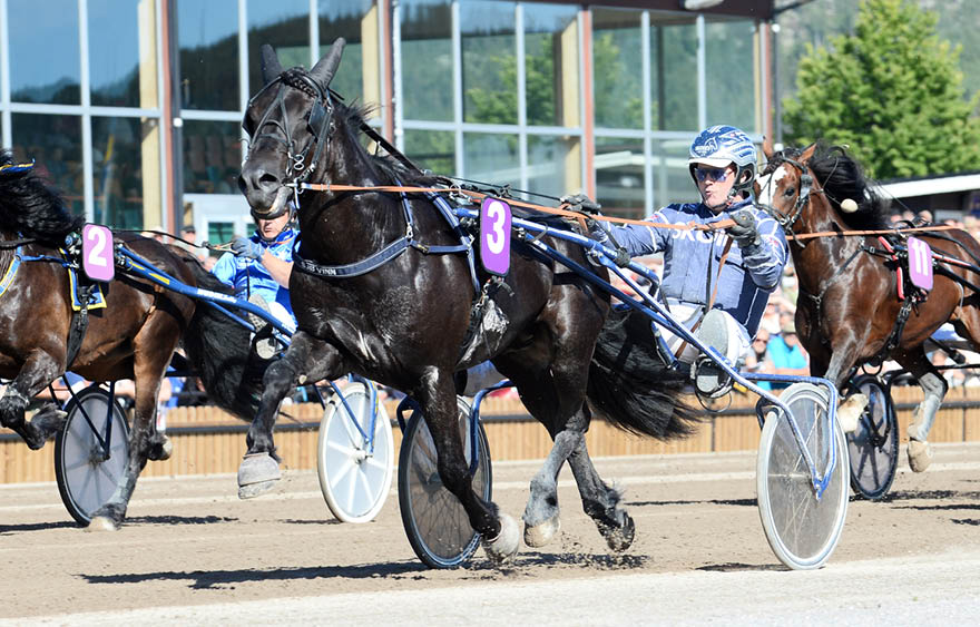 Foto : FOTO: MALIN ALBINSSON : Svenskt Kallblodskriterium 2016 Sj Vinn med  ystein Tjomsland