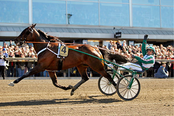 Maharajah med rjan Kihlstr m vinner Olympiatravets Final 2013. Foto: Maria Holm n / TR Bild