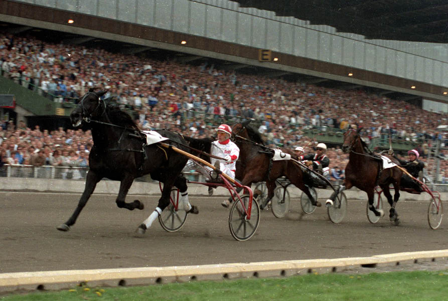 m l/vinner elitloppet 1984. fotograf: referens:841740-27 place: