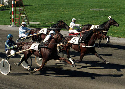 m l/vinner elitloppet 1987.fotograferat utifr n. fotograf: referens:871640-26 place: