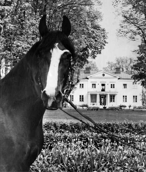 Foto: Repro Fotat av tavlor fr n Margareta Wallenius-Kleberg till Hall of Fame Big Noon